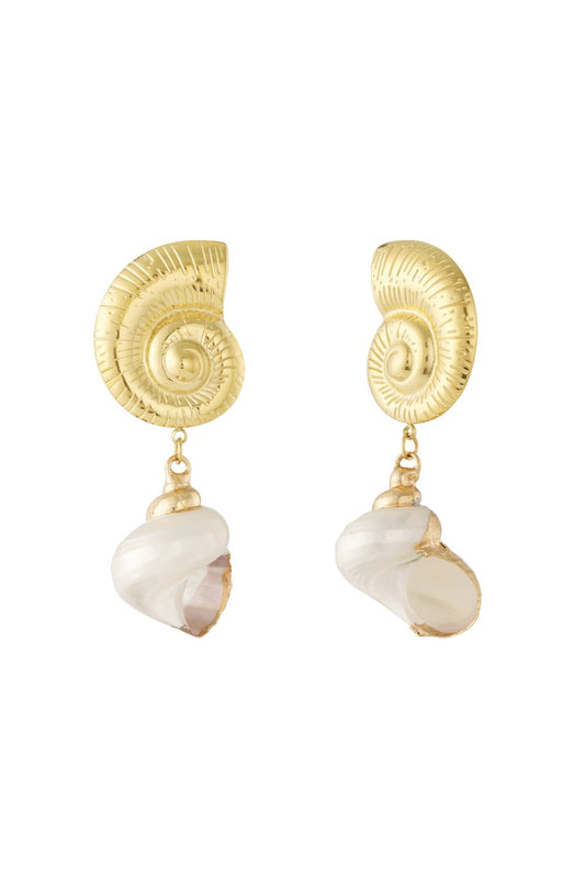 Stainless Steel Sea shell dangle earrings