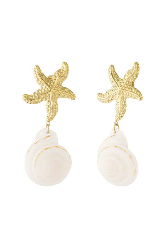 Stainless Steel Star fish earrings