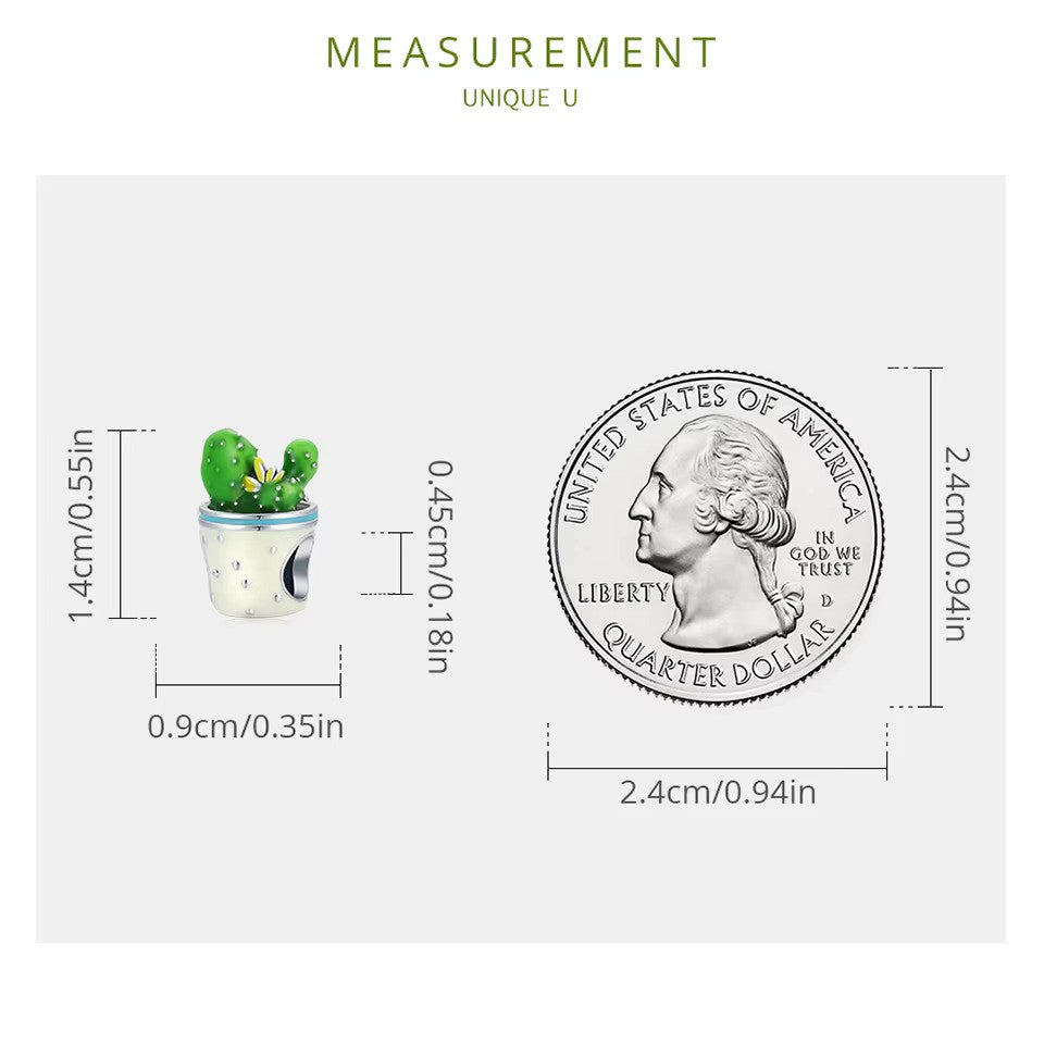 Kaktus-Charm aus 925er Sterlingsilber – kompatibel mit Pandora