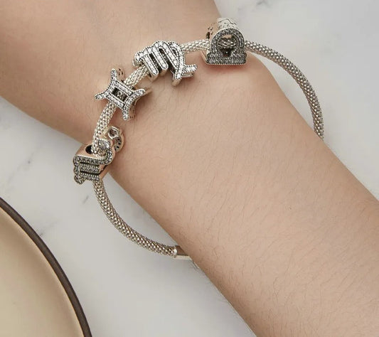 Sterling 925 Silver Horoscope Sign Shaped Charm Collection – Pandora Compatible