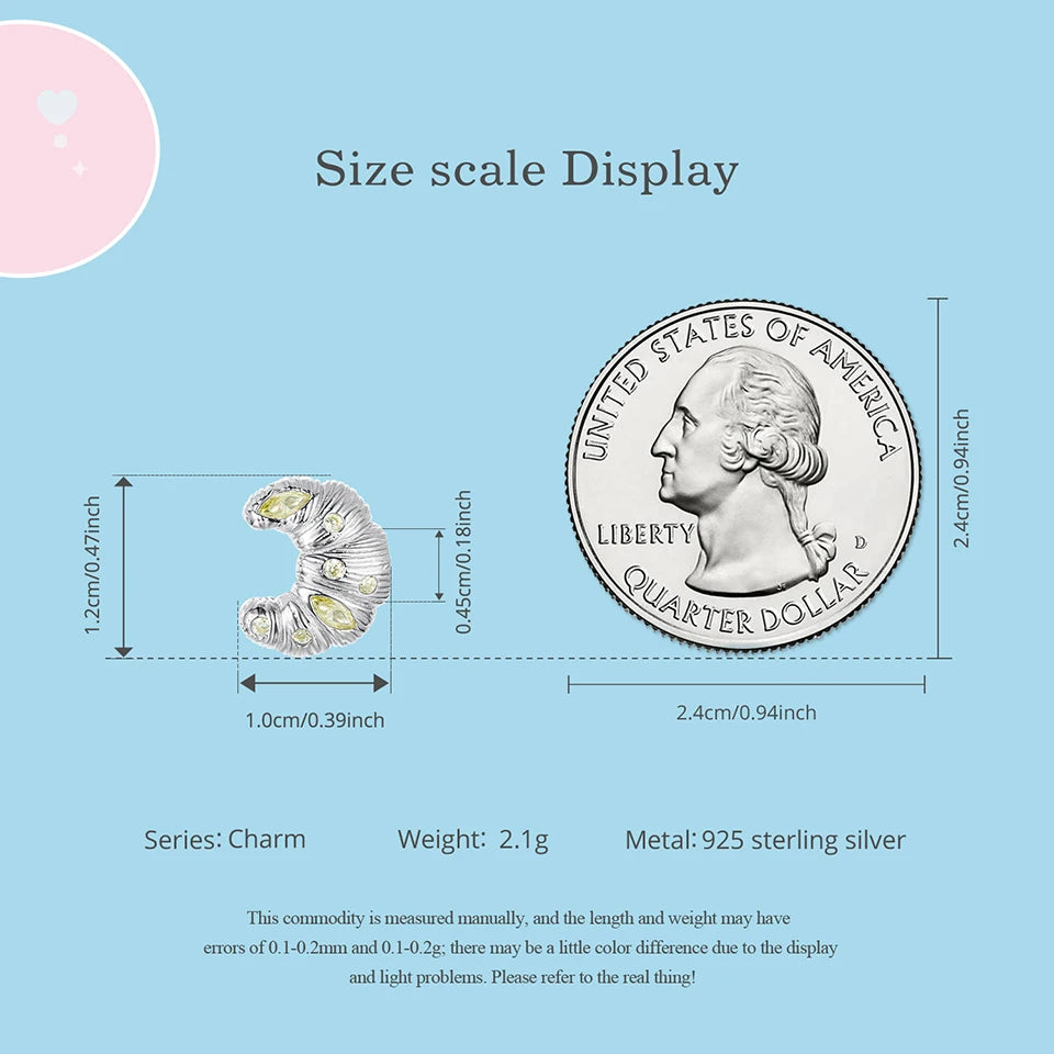 Measurement chart comparing a silver charm to a quarter dollar coin on a light blue background.